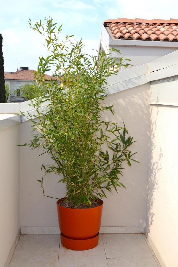 zen AR holiday-home Peschiera del Garda Exteriér fotografie